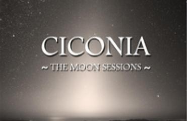 Ciconia