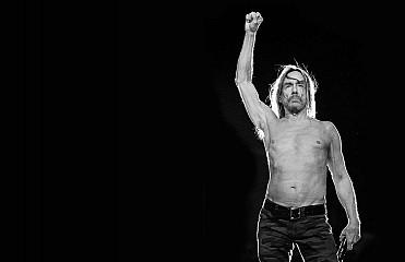 Iggy Pop