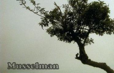 Musselman