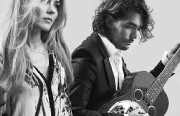 The Common Linnets