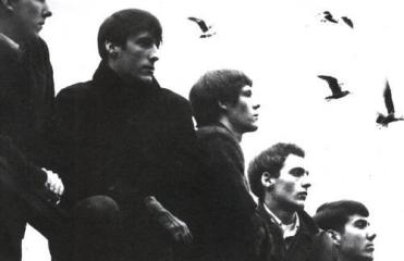 The Sonics