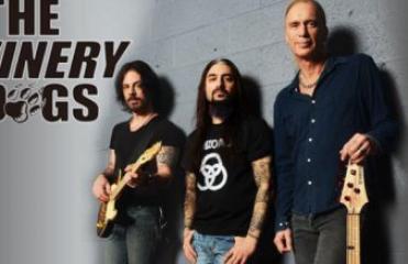 The Winery Dogs