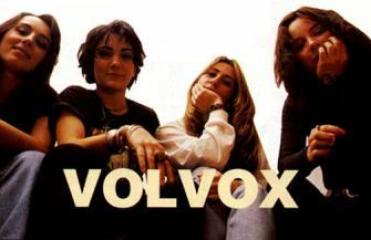 Volvox