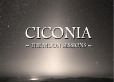 Ciconia