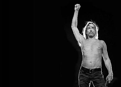 Iggy Pop