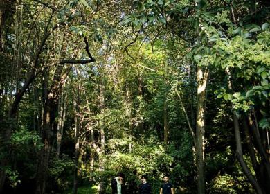 Jardín de la Croix