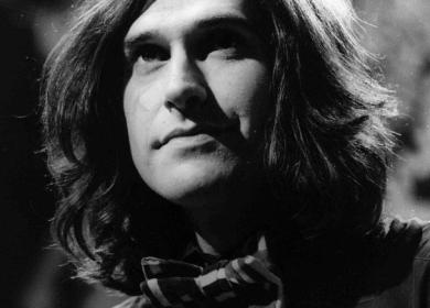 Ray Davies