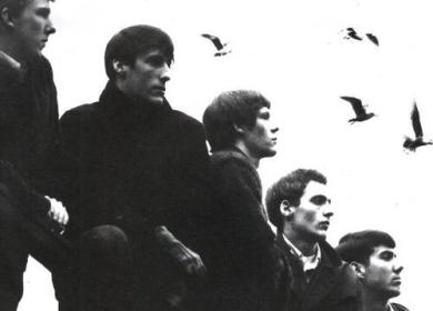 The Sonics