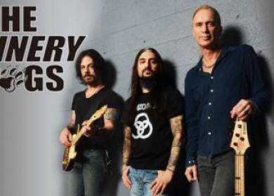 The Winery Dogs