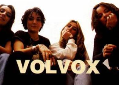 Volvox